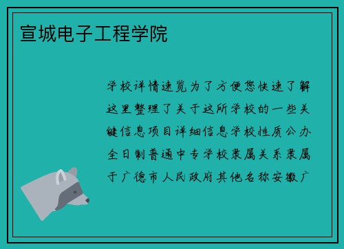 宣城电子工程学院